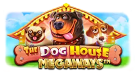 Bolagila Slot Asset